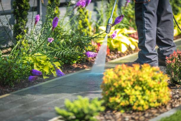 Best Dumpster Area Cleaning  in Farngton, MI