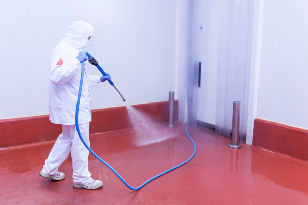 Best Rust Removal  in Farngton, MI